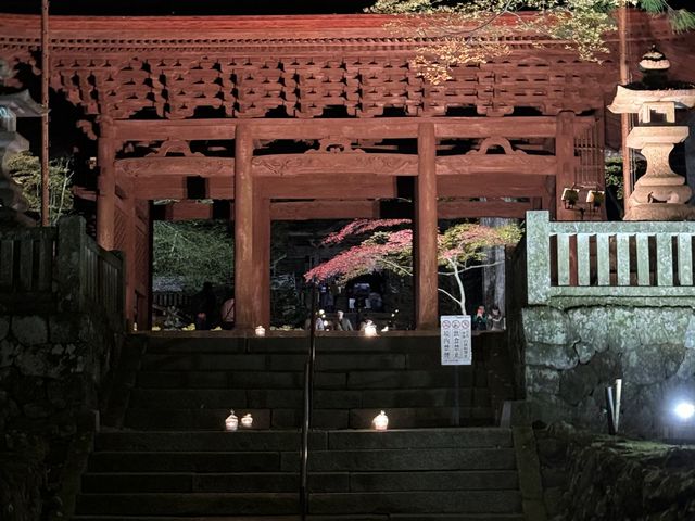 山門と夜のもみじ_光前寺の紅葉