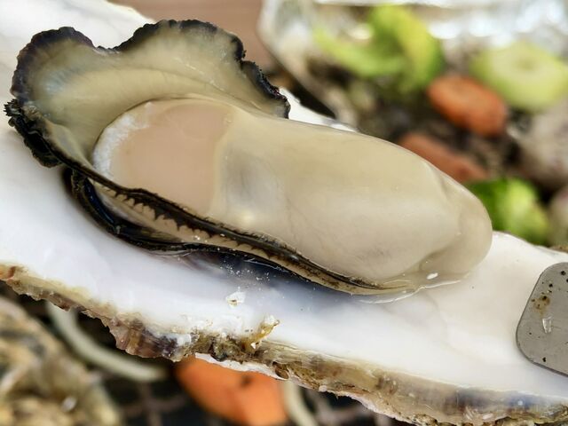 塩加減が丁度良くぷりぷりのカキは
何個でも食べれます^ ^_伸栄丸 カキの佐々木