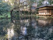 スターさんの浮月楼の投稿写真1