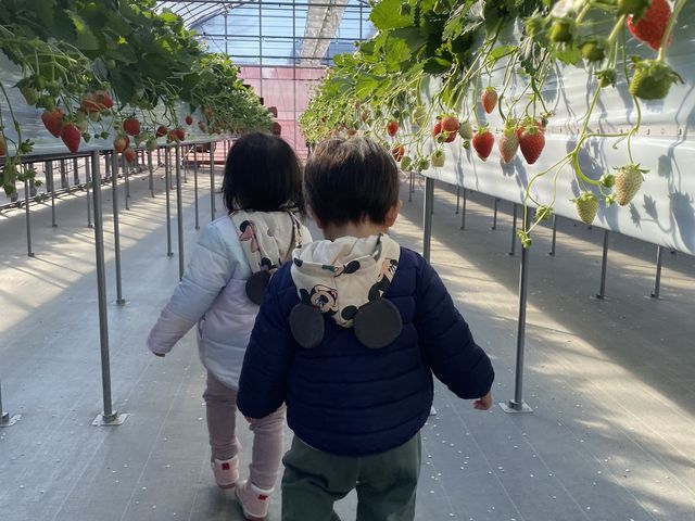 子連れでも安心して楽しめます。_ストロベリーファームBERRYBERRYBERRY