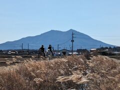大和ホースパークの写真1