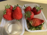 kenkenさんの苺や本舗の投稿写真1