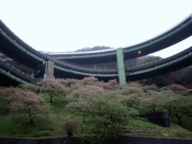 河津七滝ループ橋(七滝高架橋)