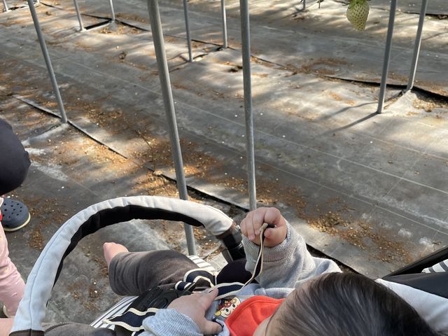 ベビーカーでも利用できました。_brown crew