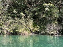 まいさんの仁淀川アウトドアセンターへの投稿写真1