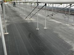 hiroさんのロックファーム京都(あざといちごハウス)への投稿写真1