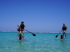 マリーさんのN.Oceanへの投稿写真1