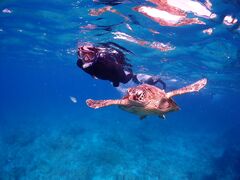 かよちゃんさんのcalm石垣島への投稿写真1