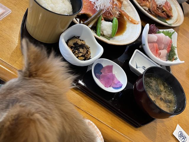 金目鯛の煮付けとお刺身定食_和食だワン