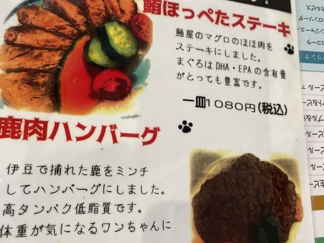 チビには、まだ早いかな。_和食だワン