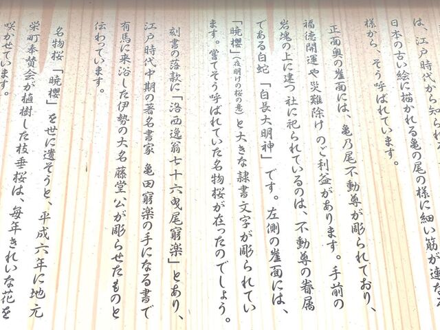 亀乃尾の滝と暁櫻の由来板_亀乃尾不動尊