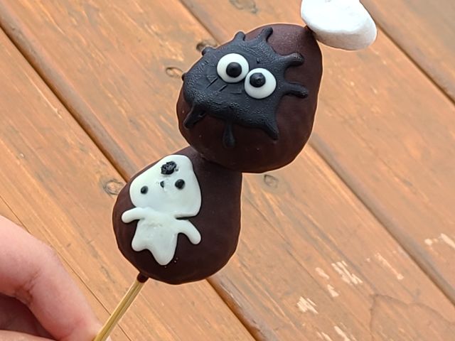 チョコいちご_佐賀ベリーフォレスト