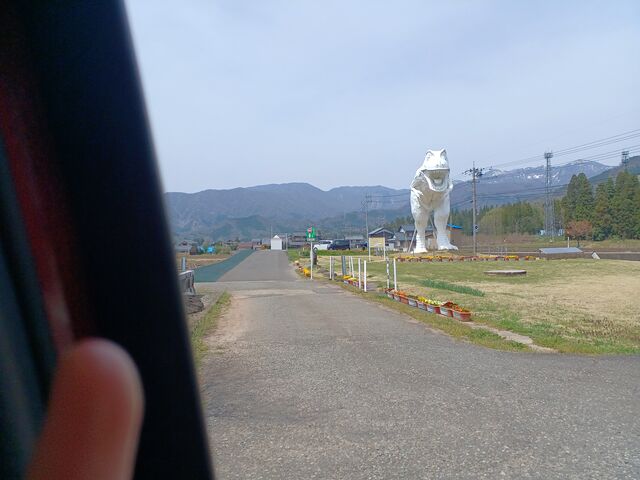 恐竜博物館に向かう途中 左手に見えます_ホワイトザウルス