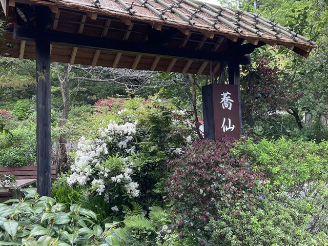 草木、お花がたくさんありました。_手打十割蕎麦処 蕎仙