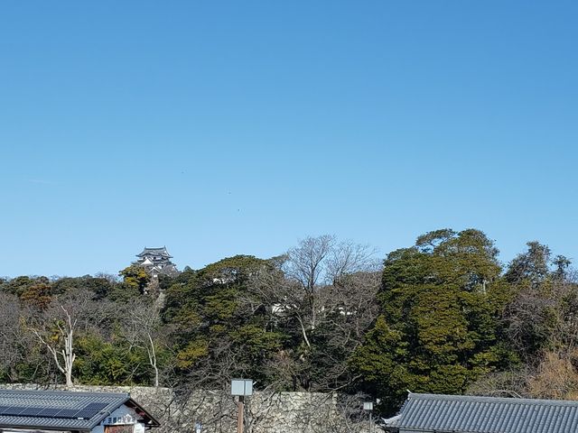 小さいですが彦根城が見えます_エルソル