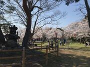 ZUNDAMさんの城山公園の投稿写真2