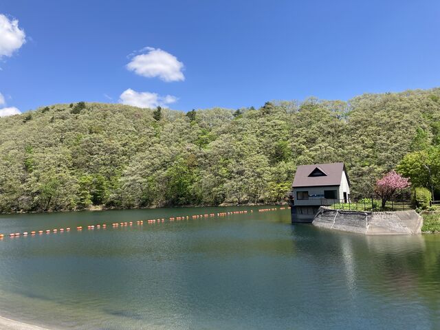 長老湖