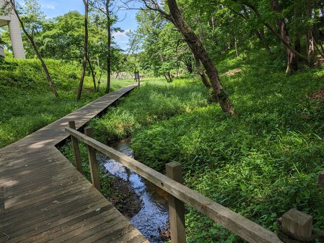 小川沿いの木道を散策します_四街道総合公園