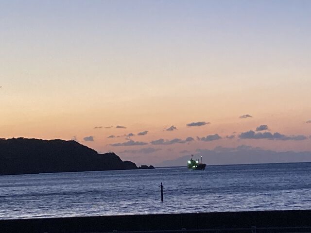 RVパークからの朝の景色
つばめ、トビ、イソヒヨドリなとが見られました。_あまべの郷 関あじ関さば館