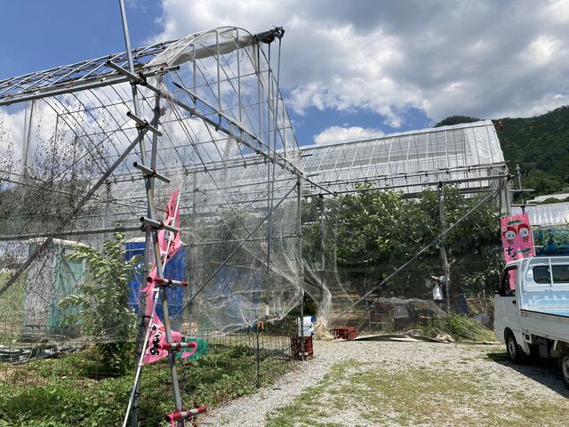 外観_Hosaka Farm〔保坂果樹園〕