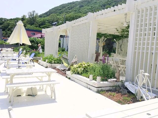 テラス席ワンちゃんOK_新生