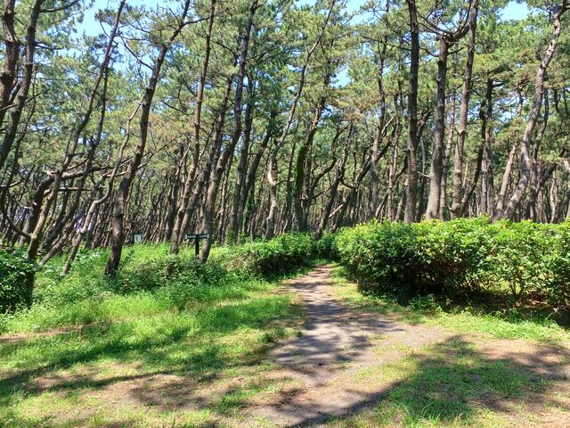 千本浜公園_千本浜公園
