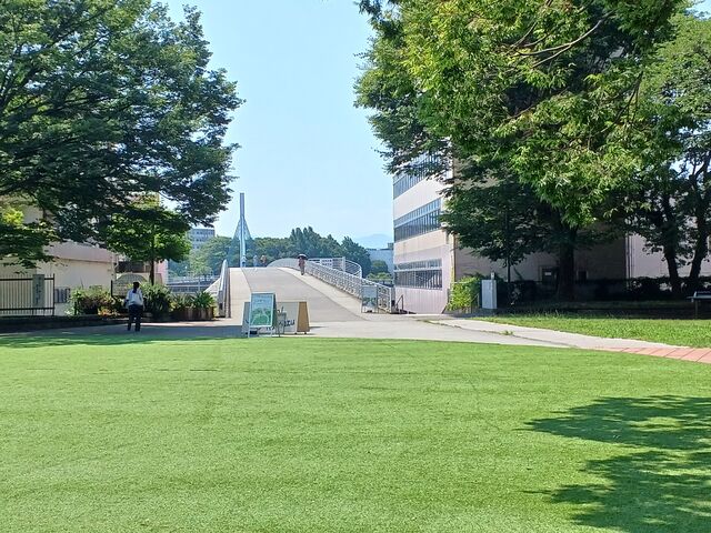 中央公園_沼津市中央公園