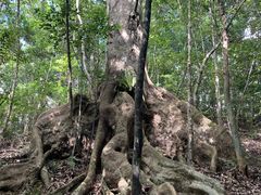 りりおさんのAzu-Verへの投稿写真1