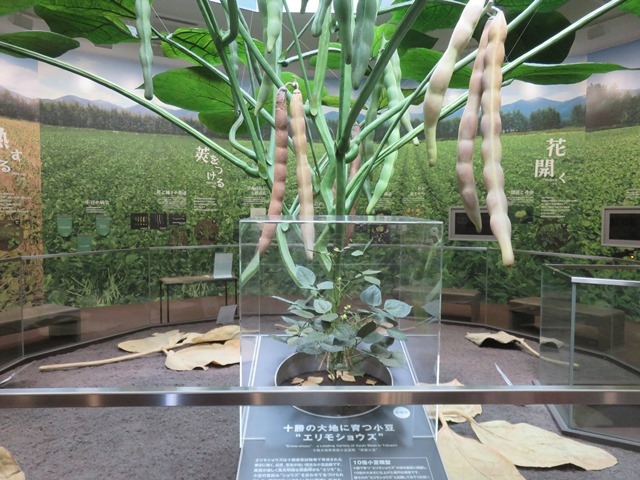 御座候 本社工場