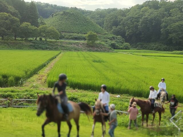 体験乗馬体験_どうぶつふれあい広場 PLAY KNOLL