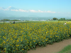 エギンガー12号さんの山梨県フラワーセンター・ハイジの村への投稿写真1