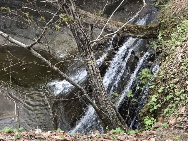 滝の風景_不動の滝