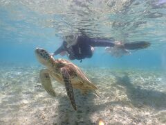 ATSUSHIさんのOkinawa tripsへの投稿写真1