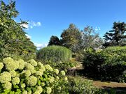 アタレバー・ドーヴさんの夕張川河畔広場(ホワイトガーデン)の投稿写真4