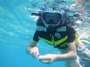 チャオチャオさんの新原海底観光センターの投稿写真1