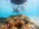 ATSUSHIさんのOkinawa tripsへの投稿写真3