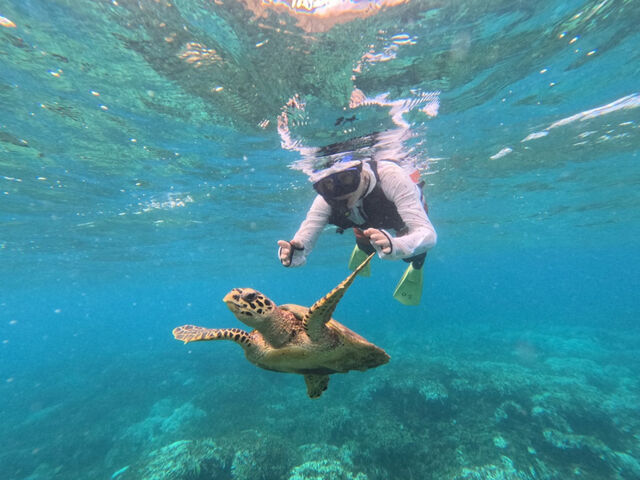 海亀と写真を撮っていただきました!_オーシャンスタイル瀬底島店