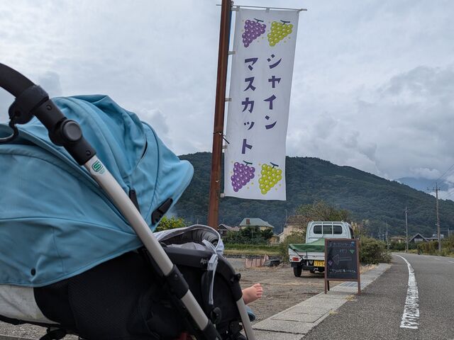 駐車場から少し歩きます。
のぼり旗が目印です。_またたびファーム