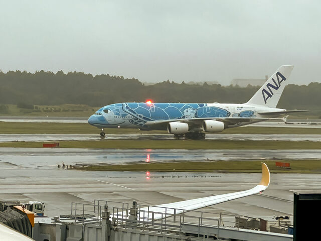 あいにくの雨でしたが、ベストタイミングでばっちり見られました。_成田空港リトリート