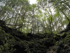 トリップフジ Trip-Fujiの写真1