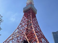 コトリさんの2階建てオープンバス『スカイバス』・水陸両用バス『スカイダック』への投稿写真1