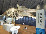 あきぼうさんのホエールタウンおしかの投稿写真4