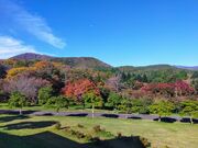 あきぼうさんの岩手県県民の森の投稿写真2