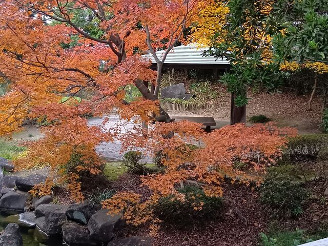 紅葉_見浜園