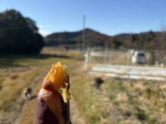 里山農園やぎファームの写真1