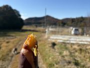 miyuさんの里山農園やぎファームの投稿写真1