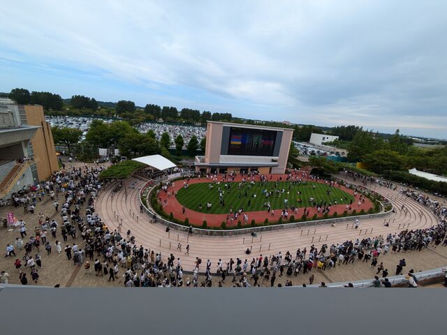 パドック_新潟競馬場