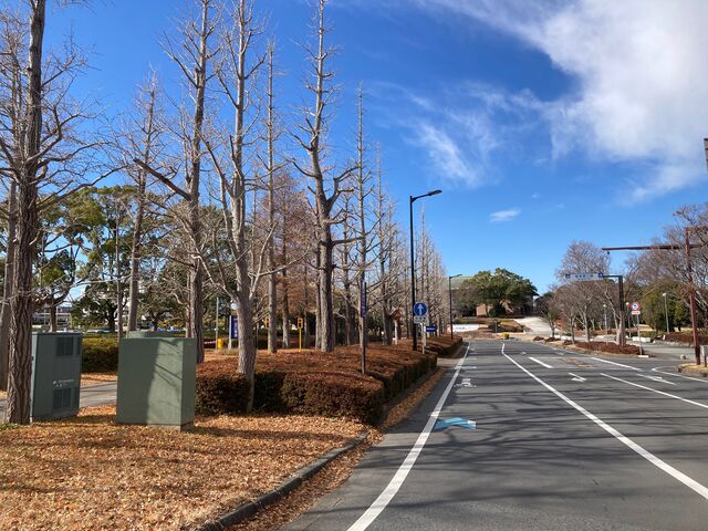 茨城県近代美術館_茨城県近代美術館