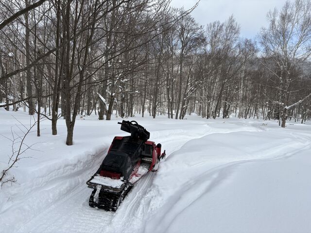 途中で走る林間で写真タイム_FUN Outdoor Activities
