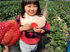 smocosさんのうるう農園への投稿写真1